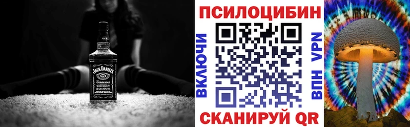 где продают наркотики  Жердевка  Псилоцибиновые грибы Psilocybe 