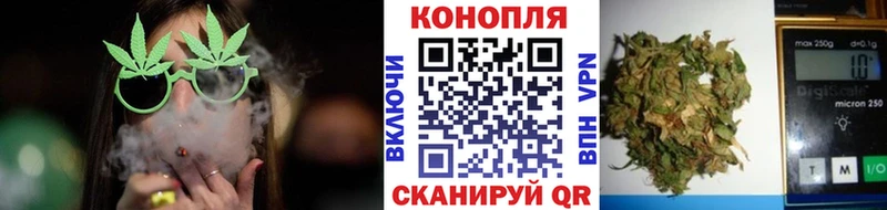 купить наркотик  Жердевка  МАРИХУАНА ГИДРОПОН 